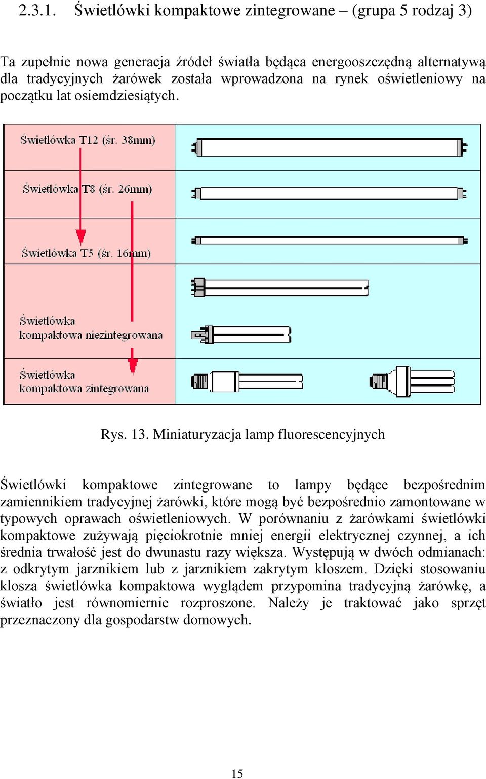 na początku lat osiemdziesiątych. Rys. 13.