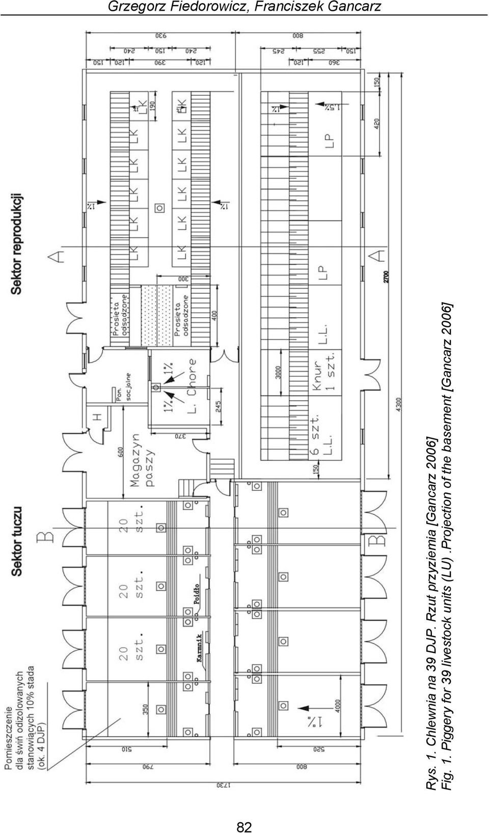 Rzut przyziemia [Gancarz 2006] Fig. 1.