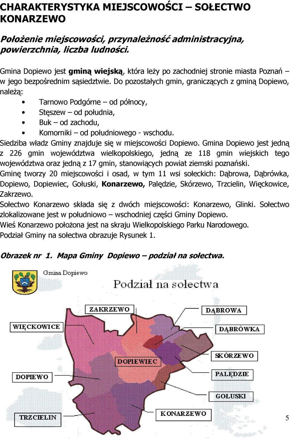 Do pozostałych gmin, graniczących z gminą Dopiewo, należą: Tarnowo Podgórne od północy, Stęszew od południa, Buk od zachodu, Komorniki od południowego - wschodu.