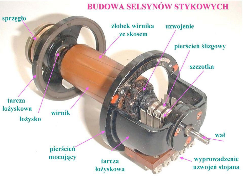 tarcza łożyskowa łożysko wirnik pierścień ocujący