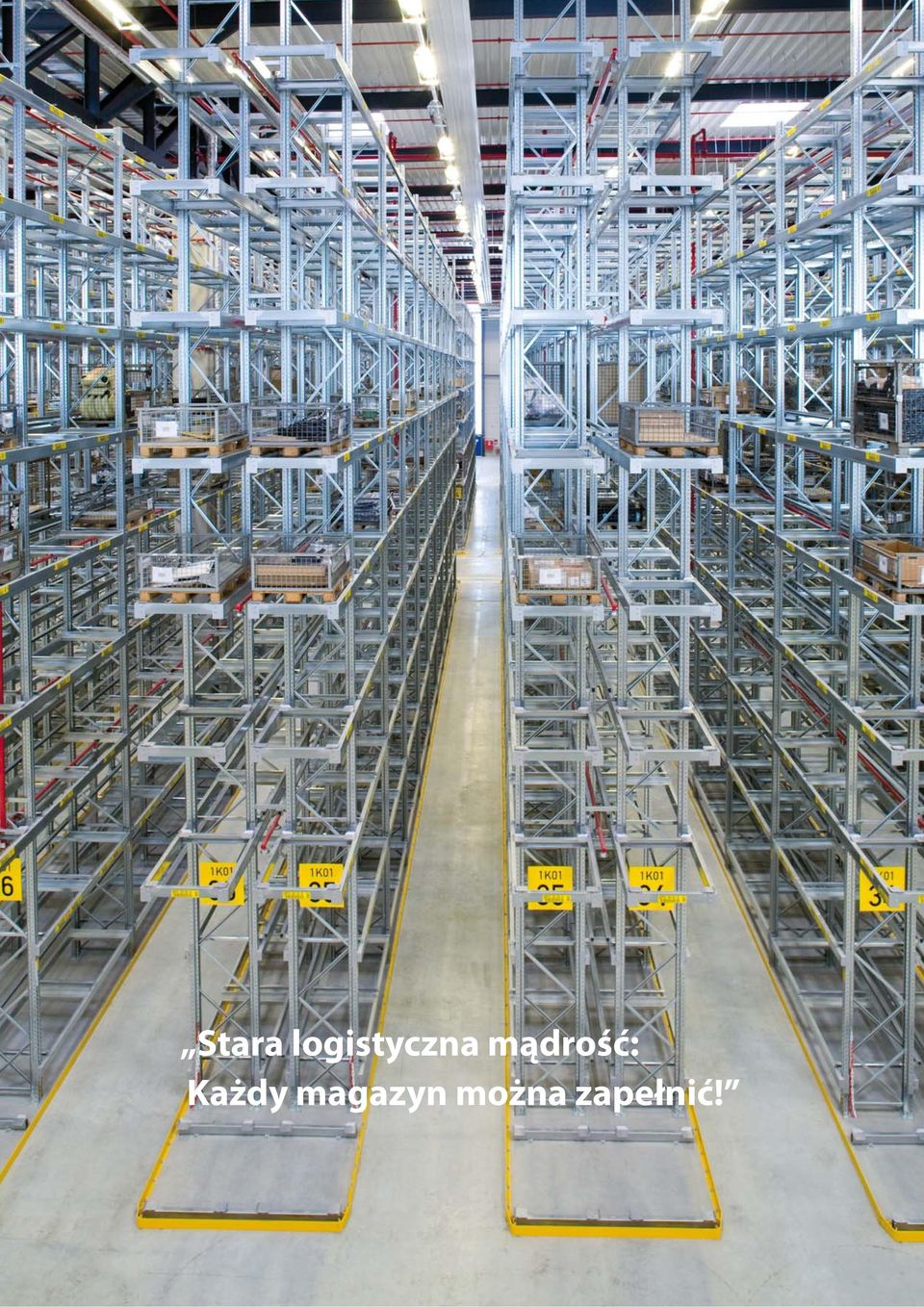 mądrość: