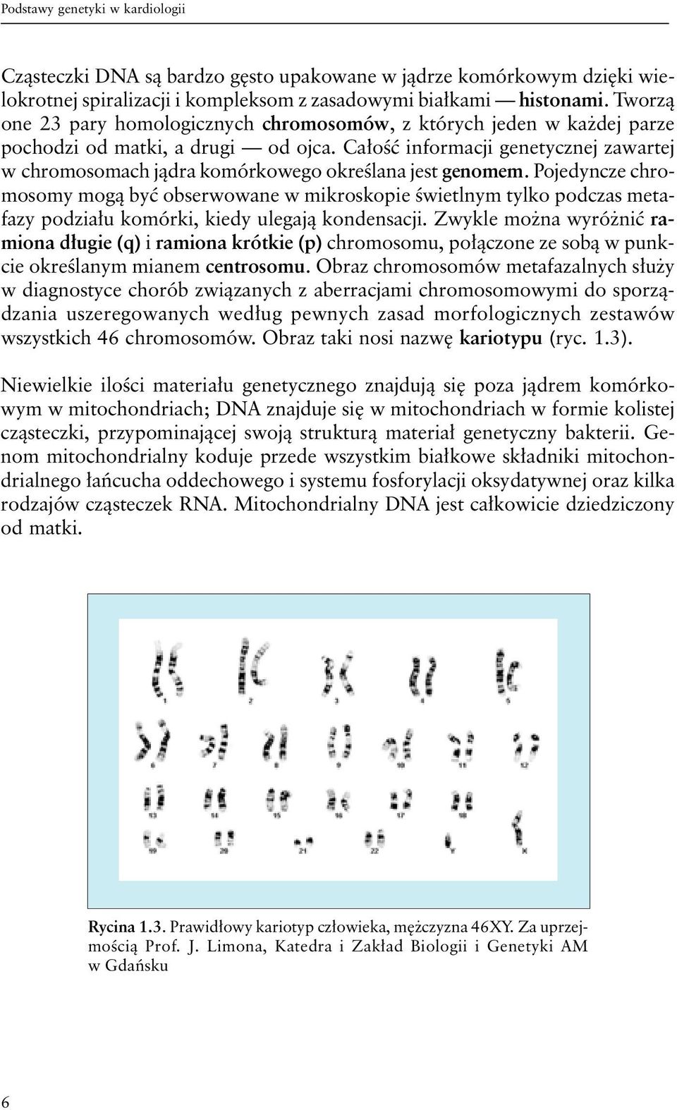 Całość informacji genetycznej zawartej w chromosomach jądra komórkowego określana jest genomem.