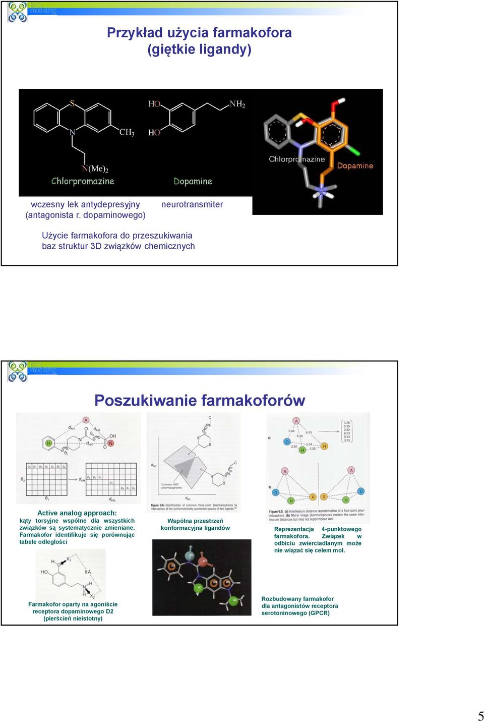 wspólne dla wszystkich związków są systematycznie zmieniane.