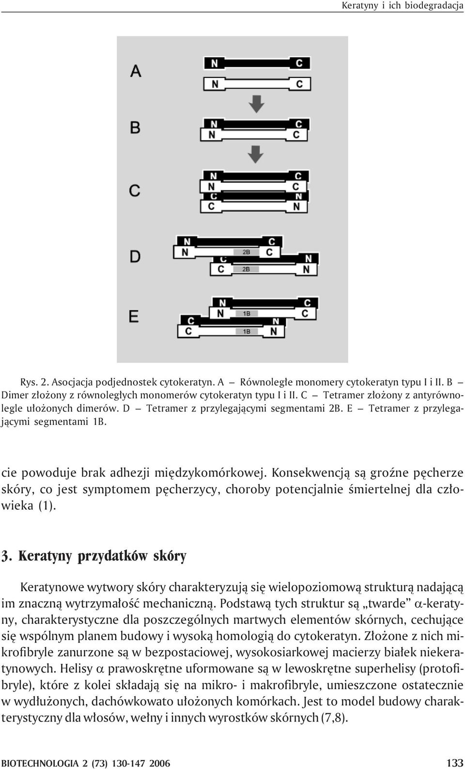 Konsekwencj¹ s¹ groÿne pêcherze skóry, co jest symptomem pêcherzycy, choroby potencjalnie œmiertelnej dla cz³owieka (1). 3.