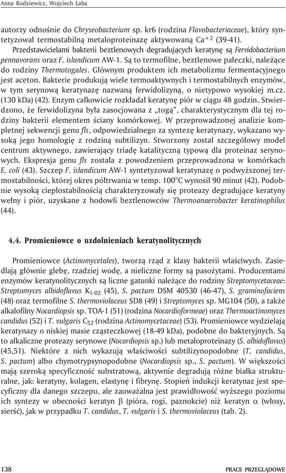 G³ównym produktem ich metabolizmu fermentacyjnego jest aceton.