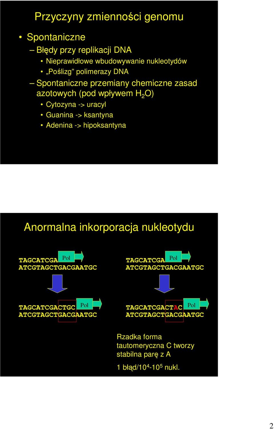 hipoksantyna Anormalna inkorporacja nukleotydu TAGCATCGA Pol ATCGTAGCTGACGAATGC TAGCATCGA Pol ATCGTAGCTGACGAATGC TAGCATCGACTGC