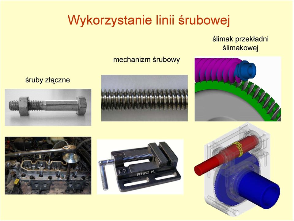 śrubowy ślimak