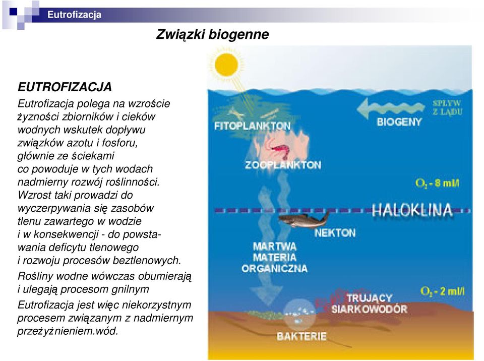 Wzrost taki prowadzi do wyczerpywania się zasobów tlenu zawartego w wodzie i w konsekwencji - do powstawania deficytu tlenowego i