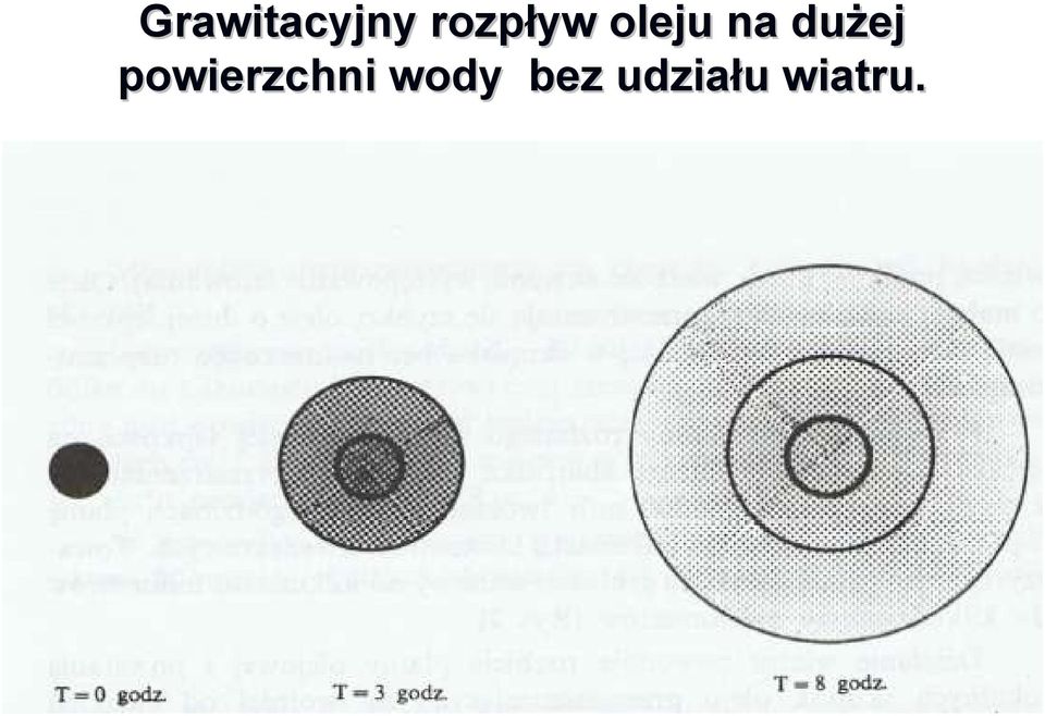 dużej powierzchni