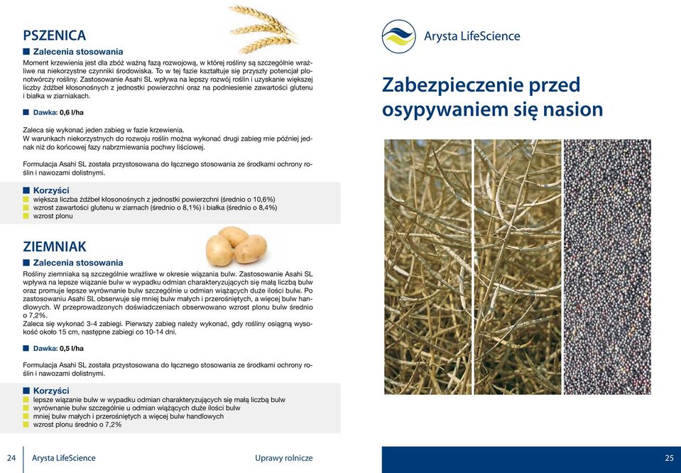 Zastosowanie Asahi SL wpływa na lepszy rozwój roślin i uzyskanie większej liczby źdźbeł kłosonośnych z jednostki powierzchni oraz na podniesienie zawartości glutenu i białka w ziarniakach.