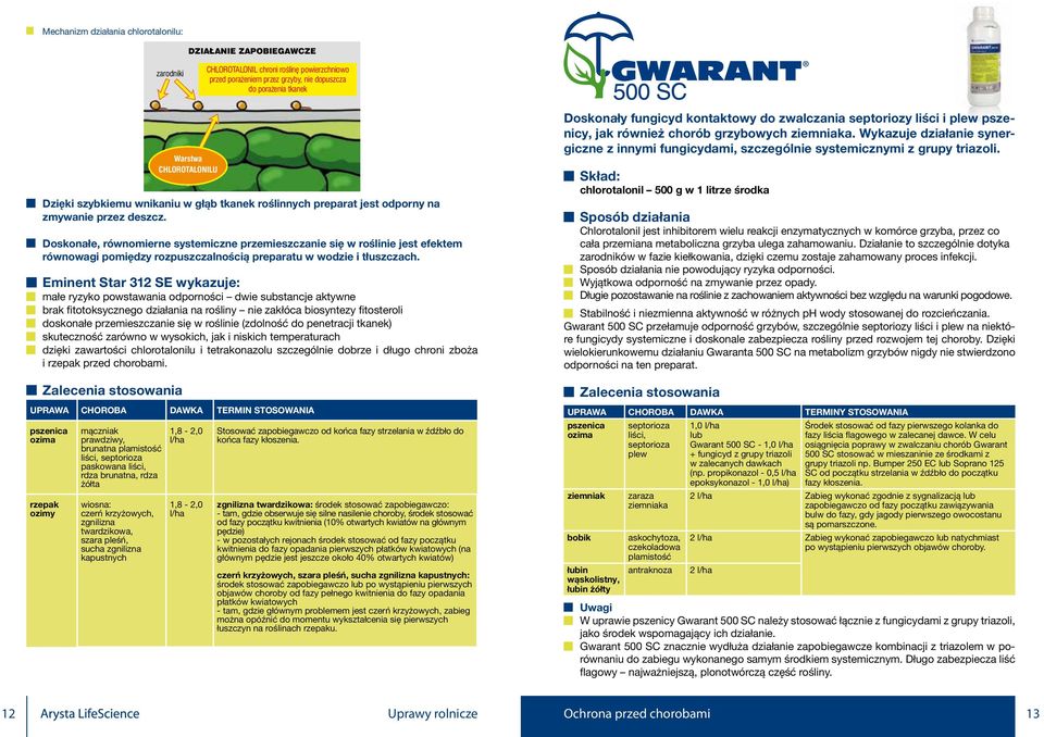 Warstwa CHLOROTALONILU dni po wykonaniu Dzięki zabiegu szybkiemu wnikaniu w Zaka enie głąb tkanek 7 dni po roślinnych wykonaniu zabiegu preparat jest odporny na zmywanie przez deszcz.