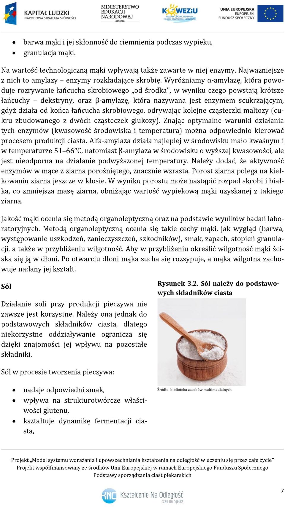 Wyróżniamy α-amylazę, która powoduje rozrywanie łańcucha skrobiowego od środka, w wyniku czego powstają krótsze łańcuchy dekstryny, oraz β-amylazę, która nazywana jest enzymem scukrzającym, gdyż