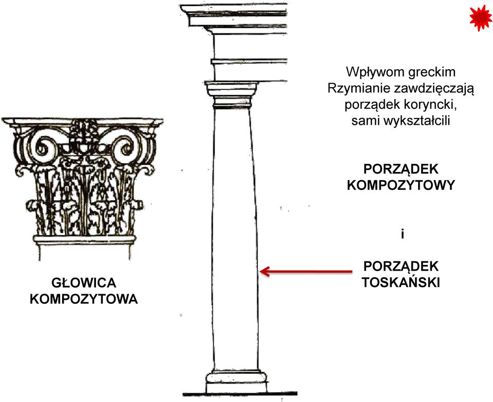sami wykształcili PORZĄDEK