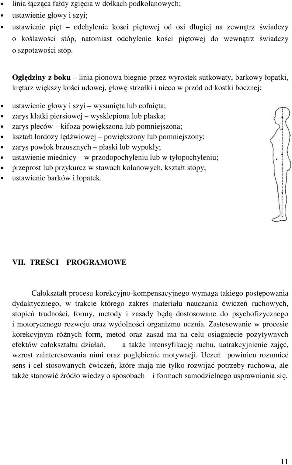 Oględziny z boku linia pionowa biegnie przez wyrostek sutkowaty, barkowy łopatki, krętarz większy kości udowej, głowę strzałki i nieco w przód od kostki bocznej; ustawienie głowy i szyi wysunięta lub