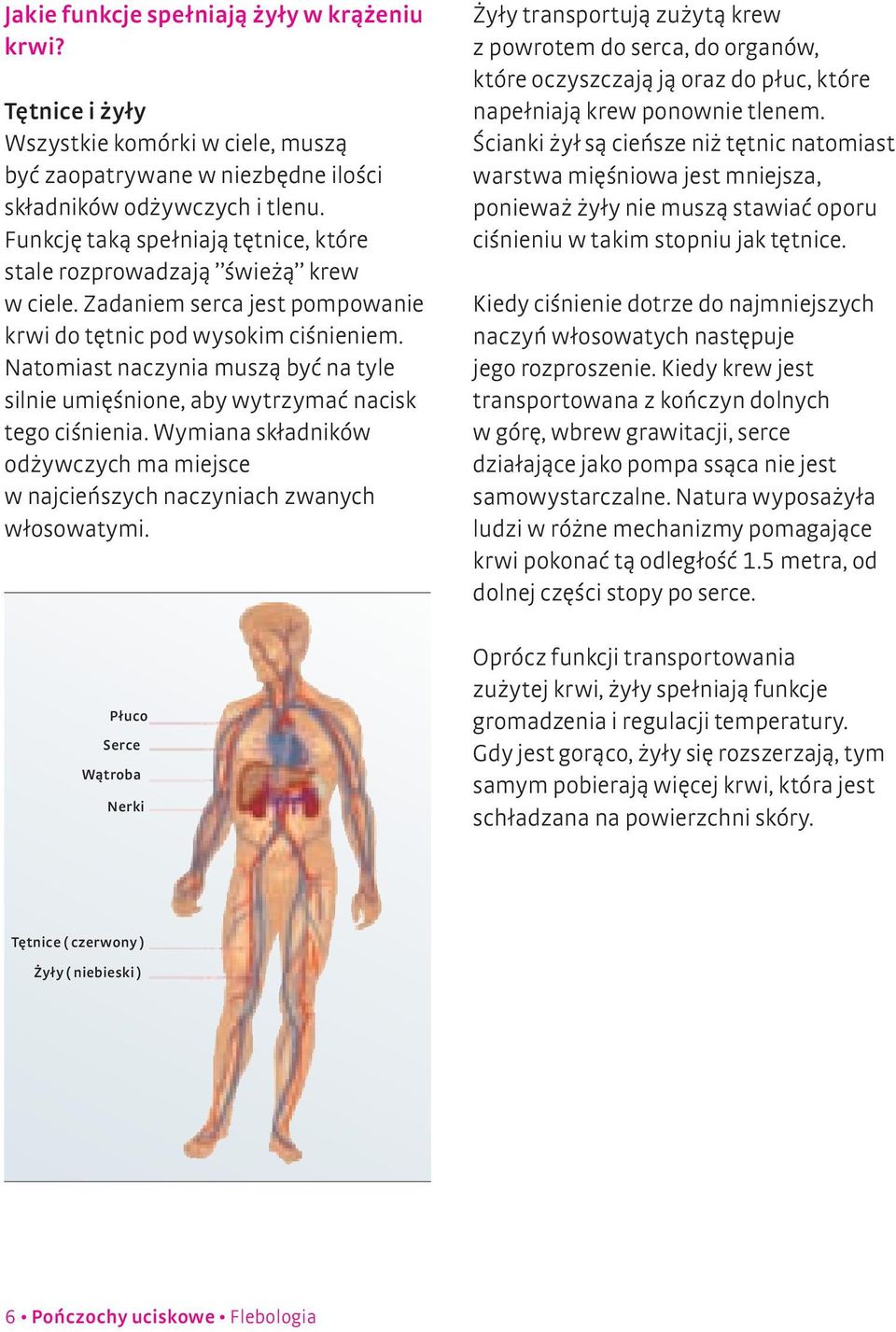 Natomiast naczynia muszą być na tyle silnie umięśnione, aby wytrzymać nacisk tego ciśnienia. Wymiana składników odżywczych ma miejsce w najcieńszych naczyniach zwanych włosowatymi.