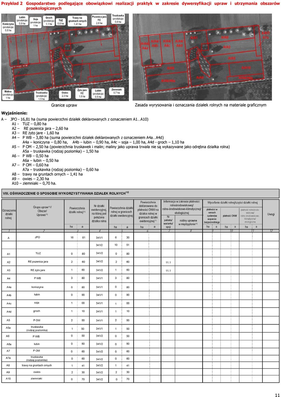 ha (suma powierzchni działek deklarowanych z oznaczeniem A4a A4d) A4a koniczyna 0,80 ha, A4b łubin 0,90 ha, A4c soja 1,00 ha, A4d - groch 1,10 ha A5 P OM 2,50 ha (powierzchnia truskawek i malin;