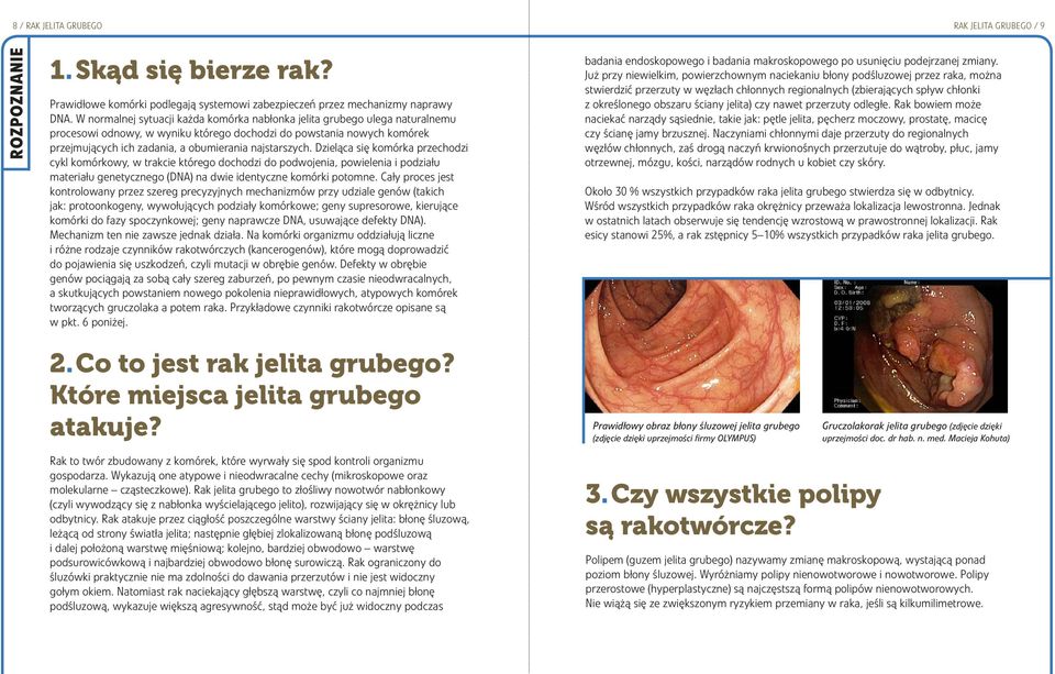 najstarszych. Dzieląca się komórka przechodzi cykl komórkowy, w trakcie którego dochodzi do podwojenia, powielenia i podziału materiału genetycznego (DNA) na dwie identyczne komórki potomne.