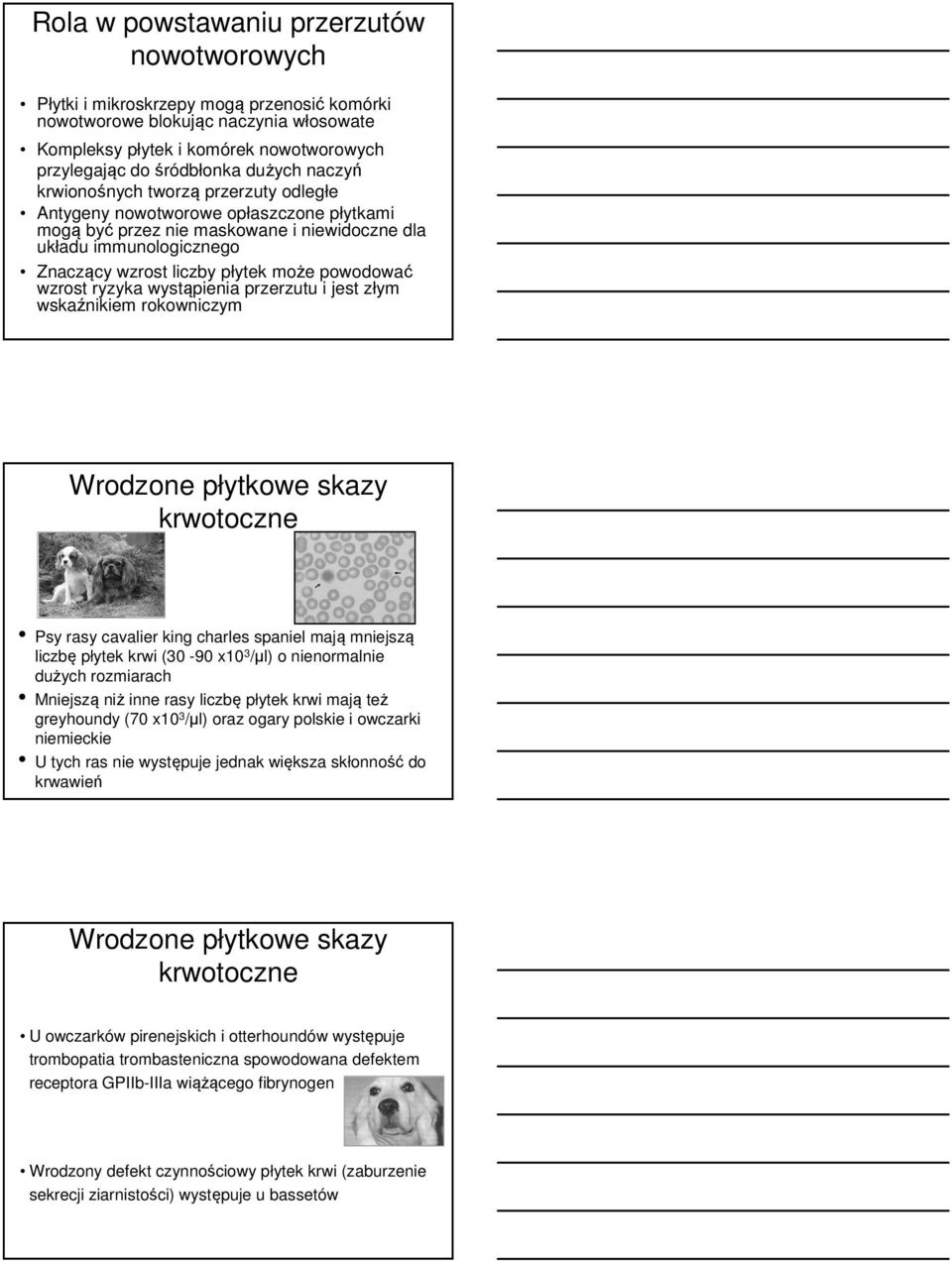 powodować wzrost ryzyka wystąpienia przerzutu i jest złym wskaźnikiem rokowniczym Wrodzone płytkowe skazy krwotoczne Psy rasy cavalier king charles spaniel mają mniejszą liczbę płytek krwi (30-90 x10