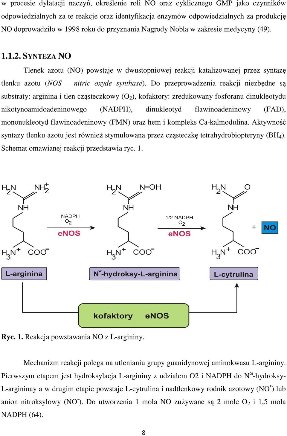 Do przeprowadzenia reakcji niezbędne są substraty: arginina i tlen cząsteczkowy (O 2 ), kofaktory: zredukowany fosforanu dinukleotydu nikotynoamidoadeninowego (NADPH), dinukleotyd flawinoadeninowy