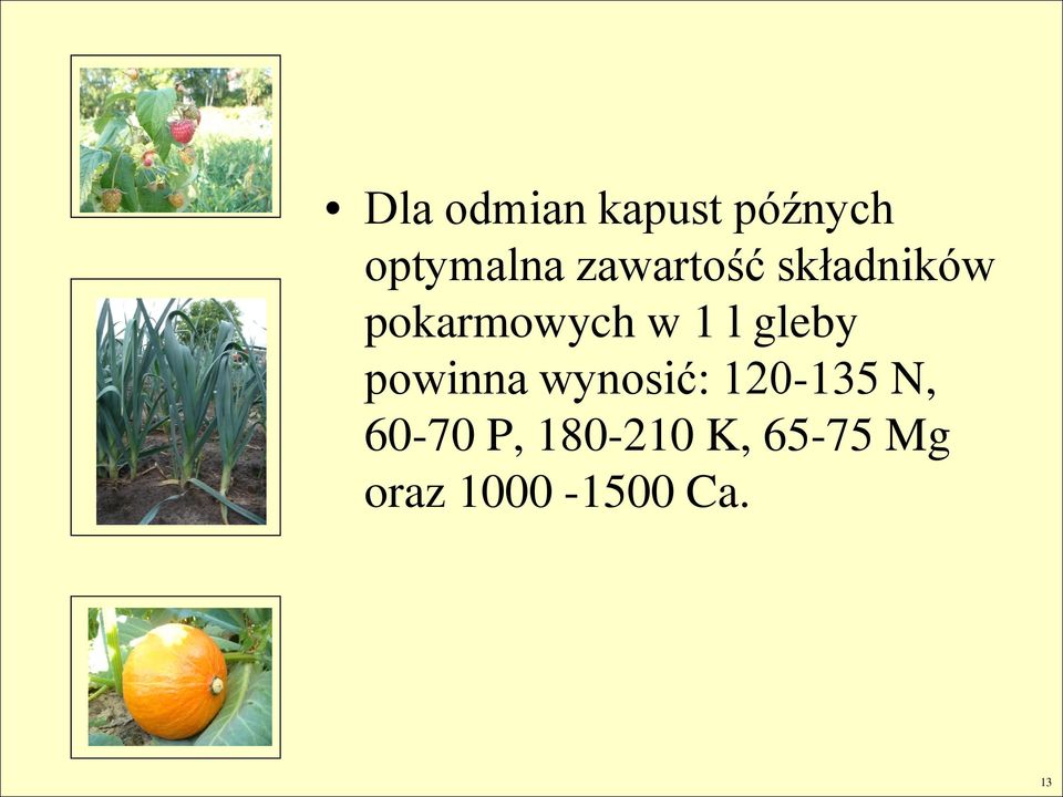 gleby powinna wynosić: 120-135 N, 60-70