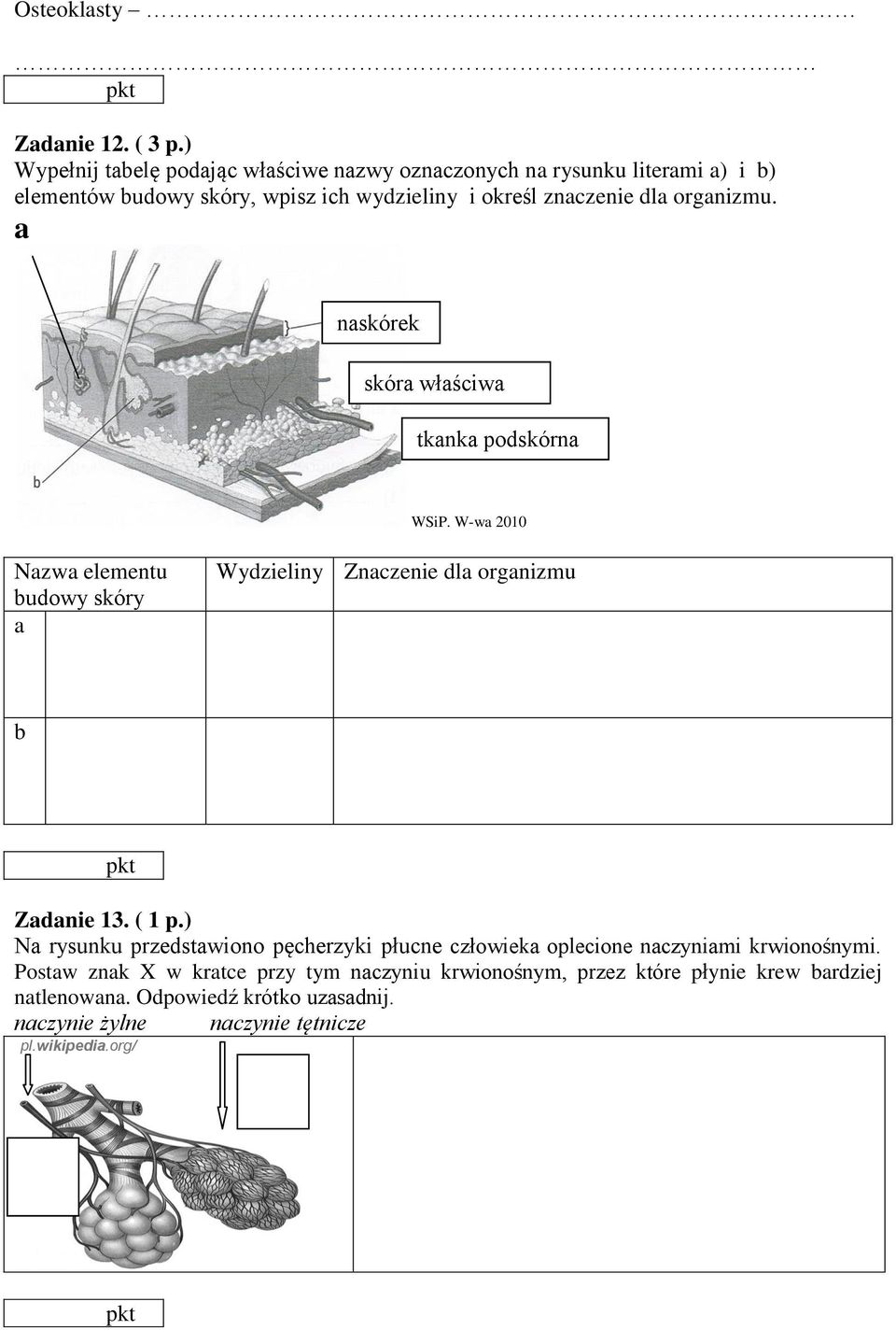 dla organizmu. a naskórek skóra właściwa tkanka podskórna Nazwa elementu budowy skóry a Wydzieliny Znaczenie dla organizmu b Zadanie 13. ( 1 p.