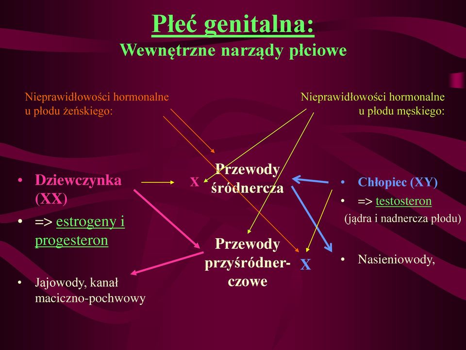 Przewody śródnercza Chłopiec (XY) => testosteron => estrogeny i progesteron