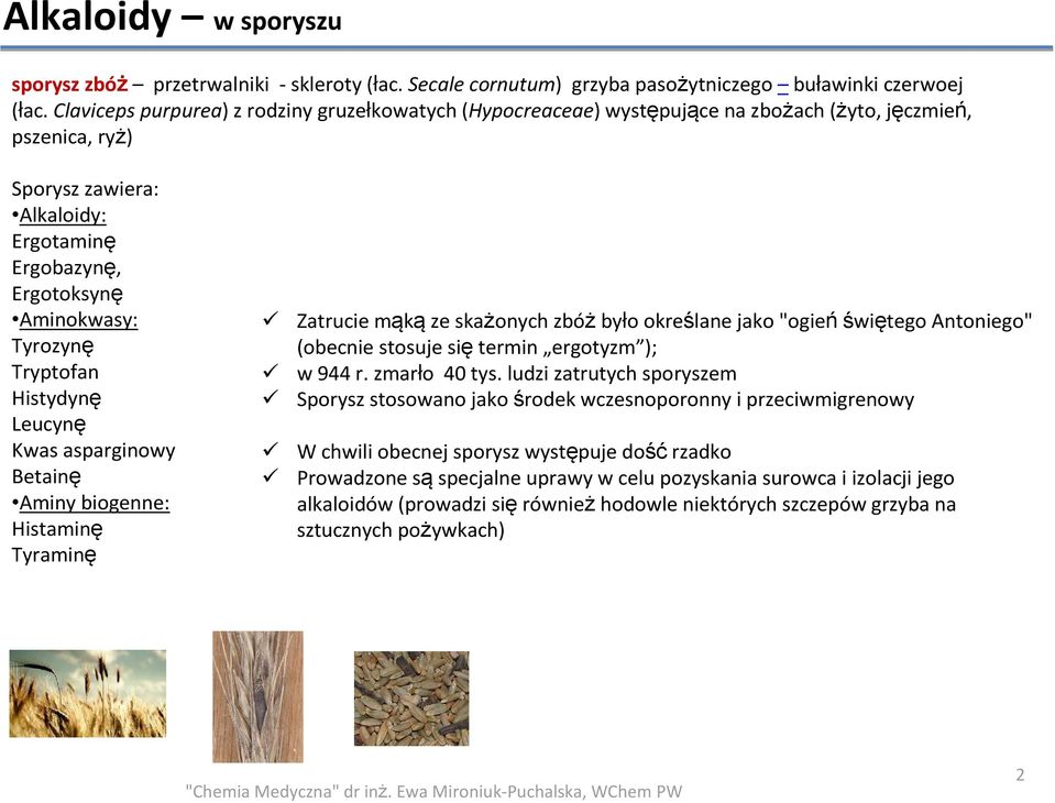 Tryptofan istydynę Leucynę Kwas asparginowy Betainę Aminy biogenne: istaminę Tyraminę Zatrucie mąkąze skażonych zbóżbyło określane jako "ogieńświętego Antoniego" (obecnie stosuje się termin ergotyzm