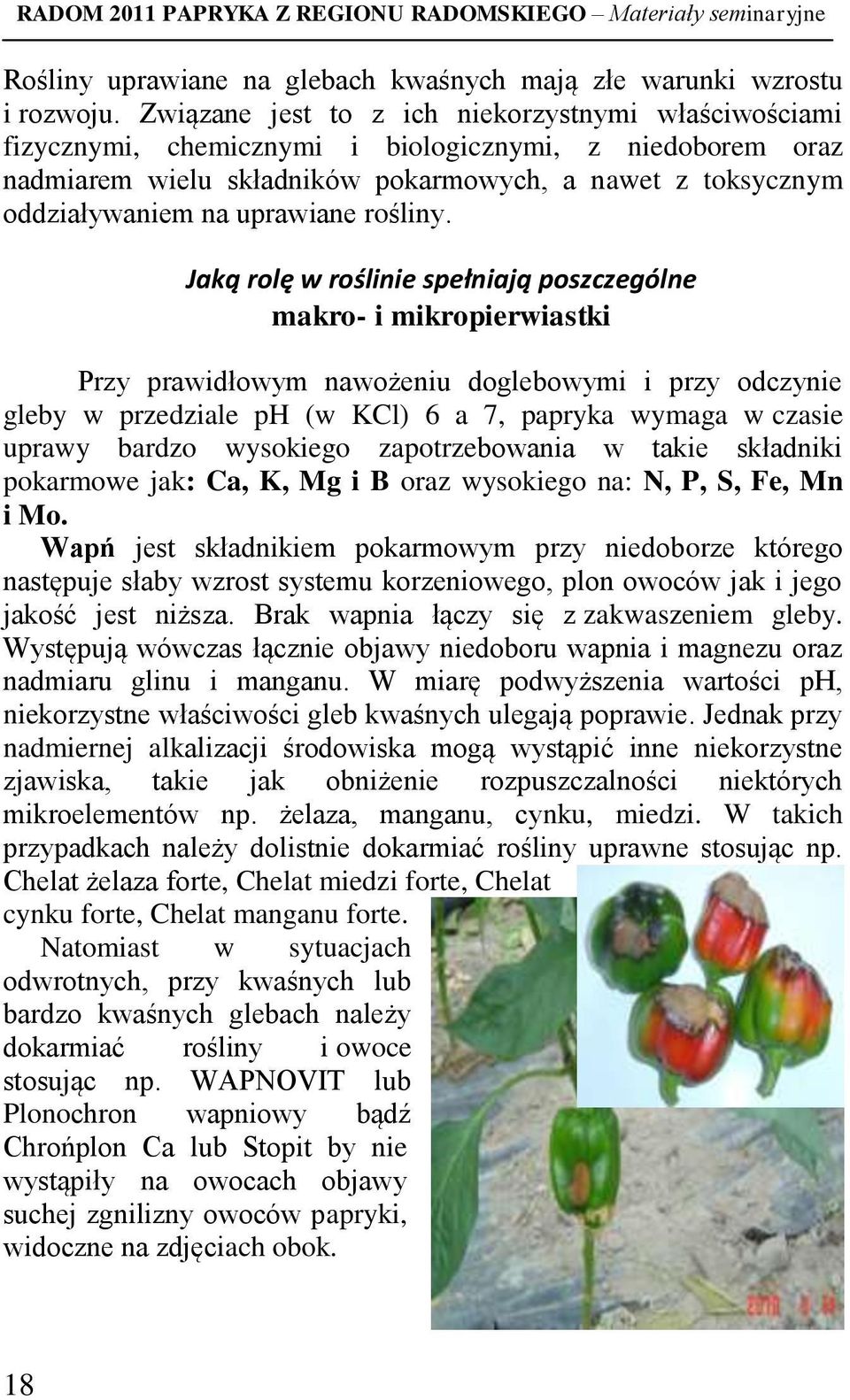 uprawiane rośliny.