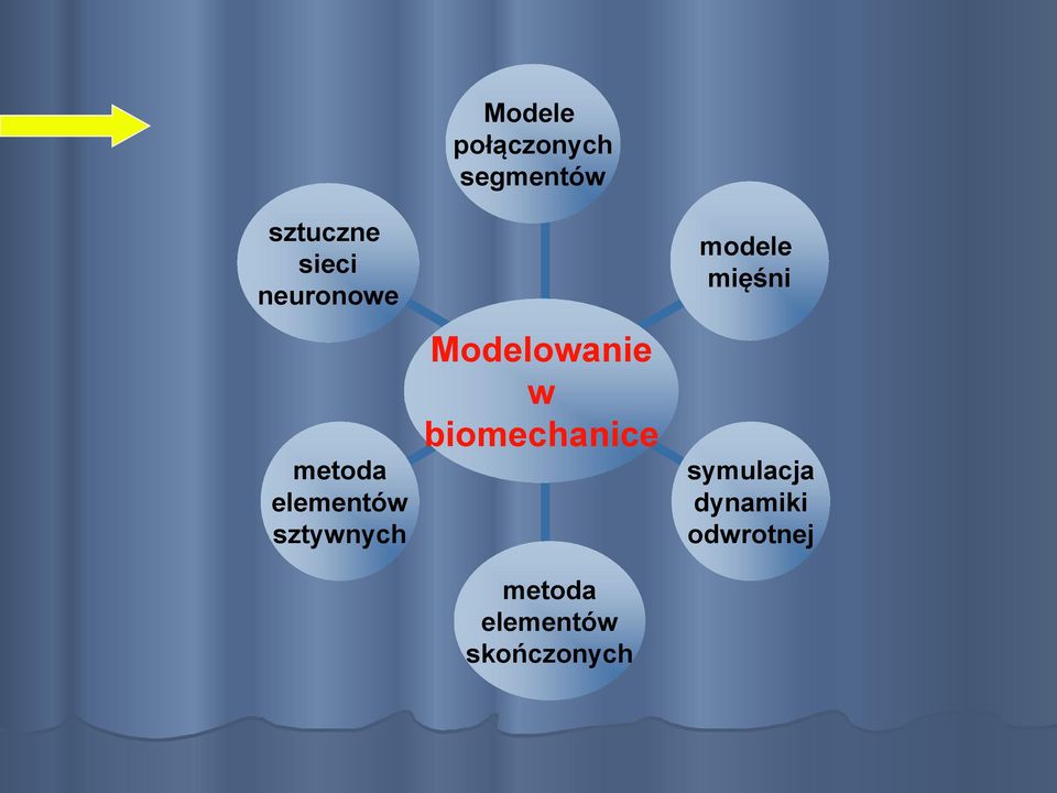 Modelowanie w biomechanice metoda elementów