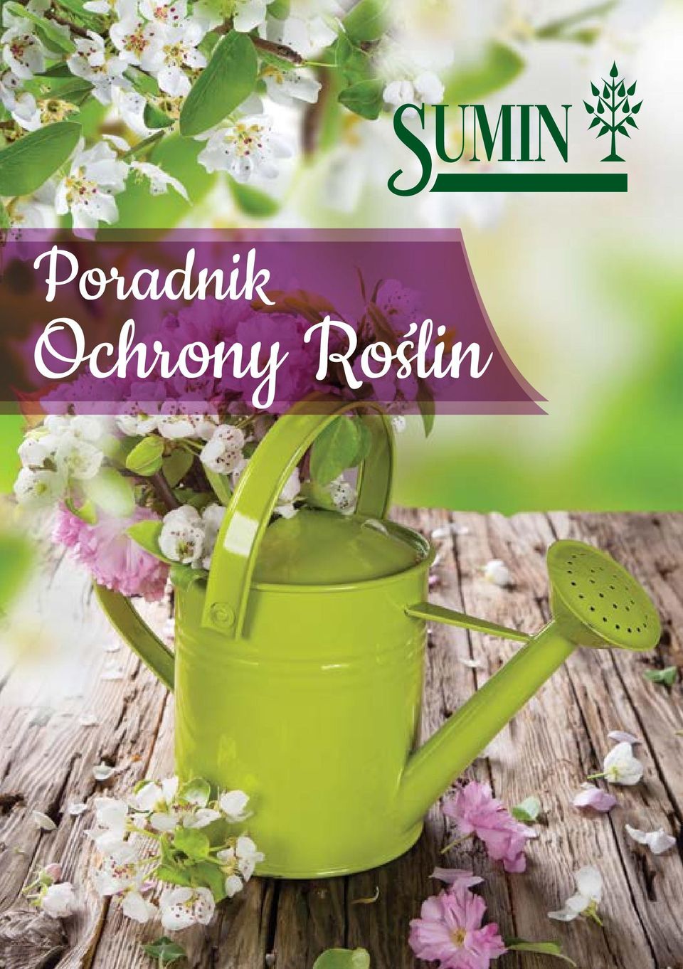 Roślin