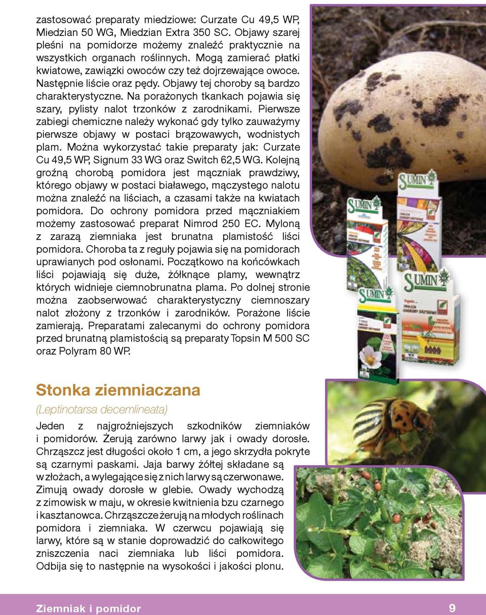 Na porażonych tkankach pojawia się szary, pylisty nalot trzonków z zarodnikami. Pierwsze zabiegi chemiczne należy wykonać gdy tylko zauważymy pierwsze objawy w postaci brązowawych, wodnistych plam.
