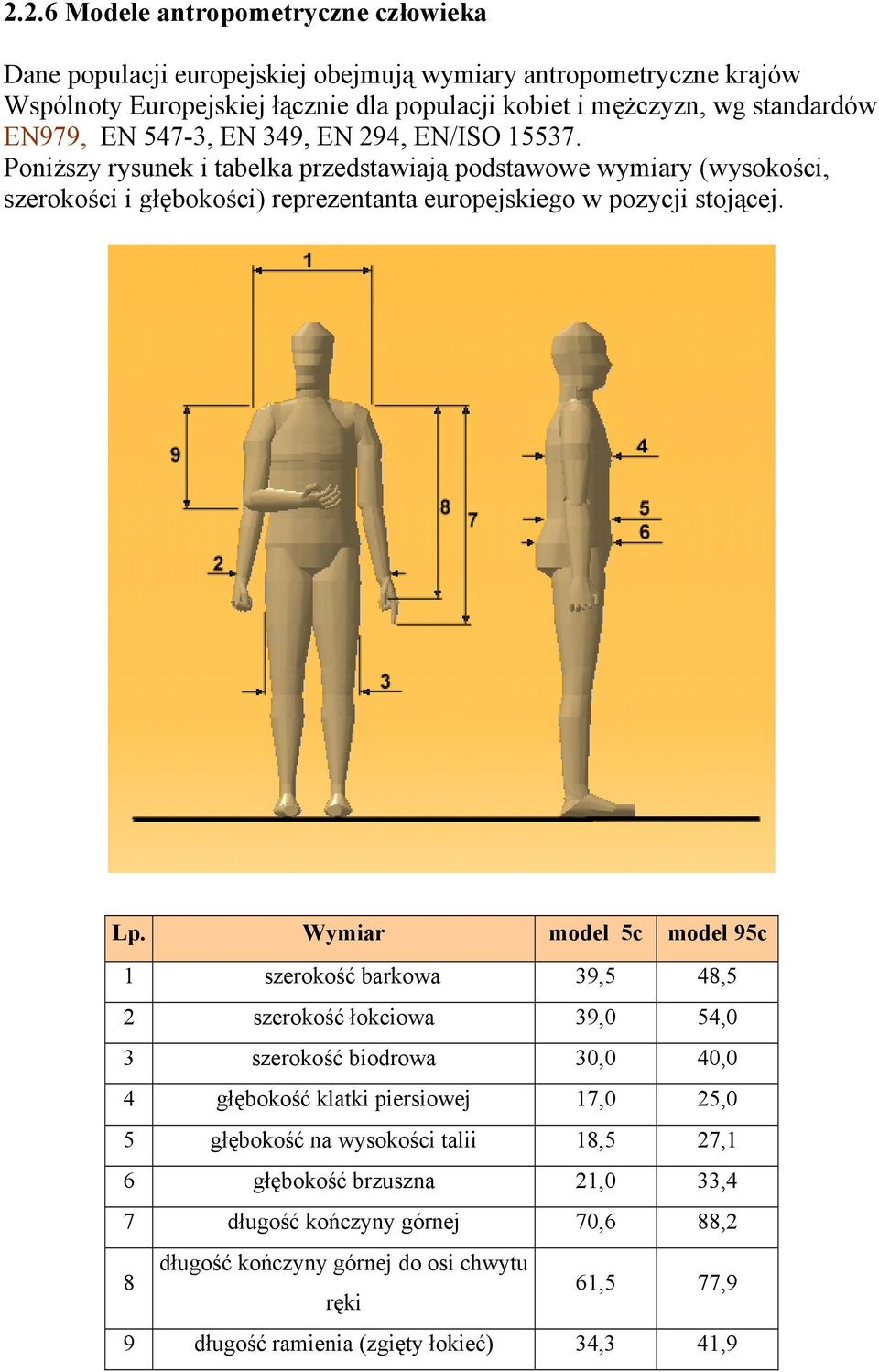 Poniższy rysunek i tabelka przedstawiają podstawowe wymiary (wysokości, szerokości i głębokości) reprezentanta europejskiego w pozycji stojącej. Lp.