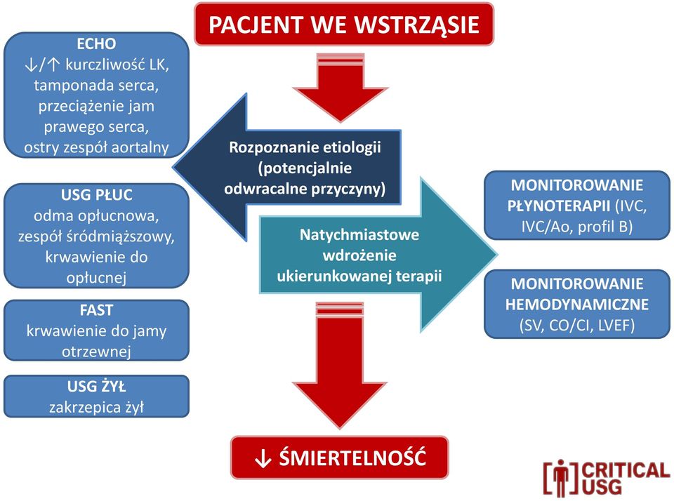 PACJENT WE WSTRZĄSIE Rozpoznanie etiologii (potencjalnie odwracalne przyczyny) Natychmiastowe wdrożenie