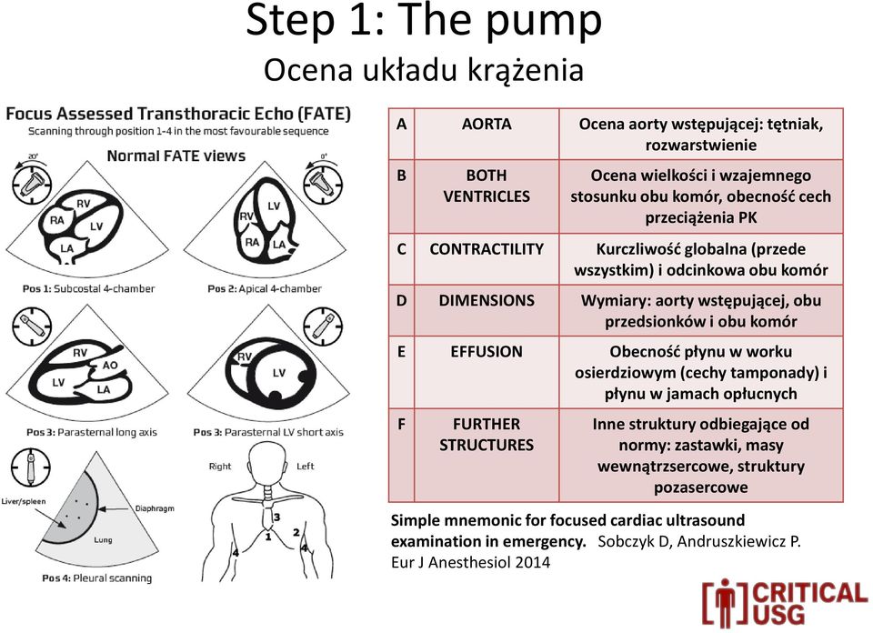 obu komór E EFFUSION Obecność płynu w worku osierdziowym (cechy tamponady) i płynu w jamach opłucnych F FURTHER STRUCTURES Inne struktury odbiegające od normy:
