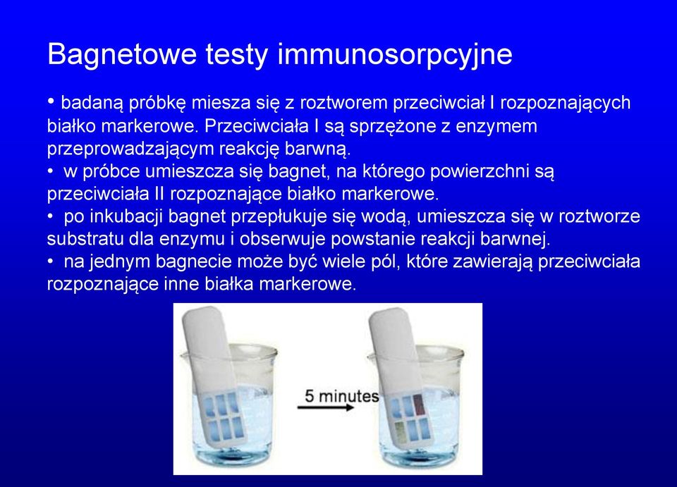 w próbce umieszcza się bagnet, na którego powierzchni są przeciwciała II rozpoznające białko markerowe.