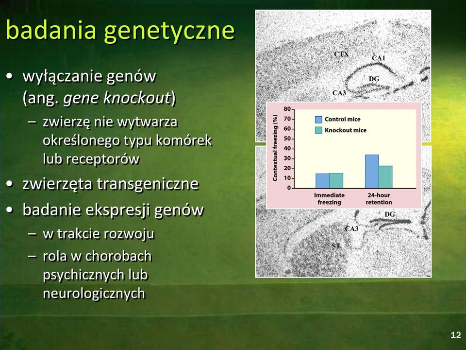 komórek lub receptorów zwierzęta transgeniczne badanie