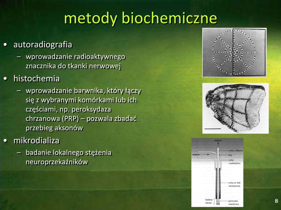 wybranymi komórkami lub ich częściami, np.