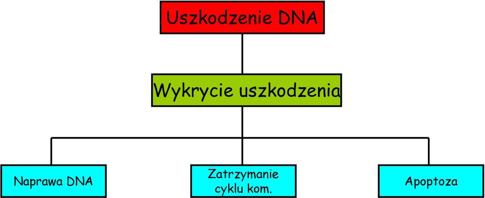 uszkodzenia Naprawa