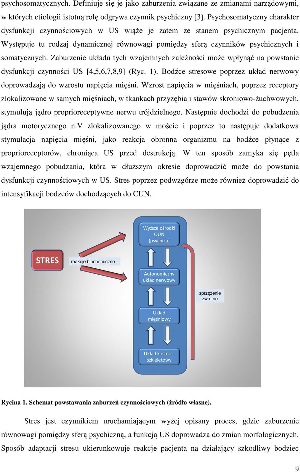 Zaburzenie układu tych wzajemnych zależności może wpłynąć na powstanie dysfunkcji czynności US [4,5,6,7,8,9] (Ryc. 1). Bodźce stresowe poprzez układ nerwowy doprowadzają do wzrostu napięcia mięśni.