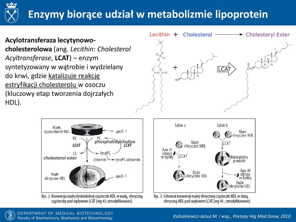 gdzie katalizuje reakcję estryfikacji cholesterolu w osoczu (kluczowy etap tworzenia dojrzałych