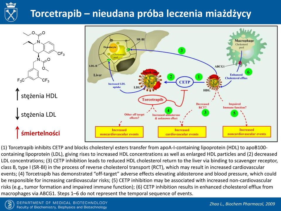 cholesterol return to the liver via binding to scavenger receptor, class B, type I (SR-BI) in the process of reverse cholesterol transport (RCT), which may result in increased cardiovascular events;