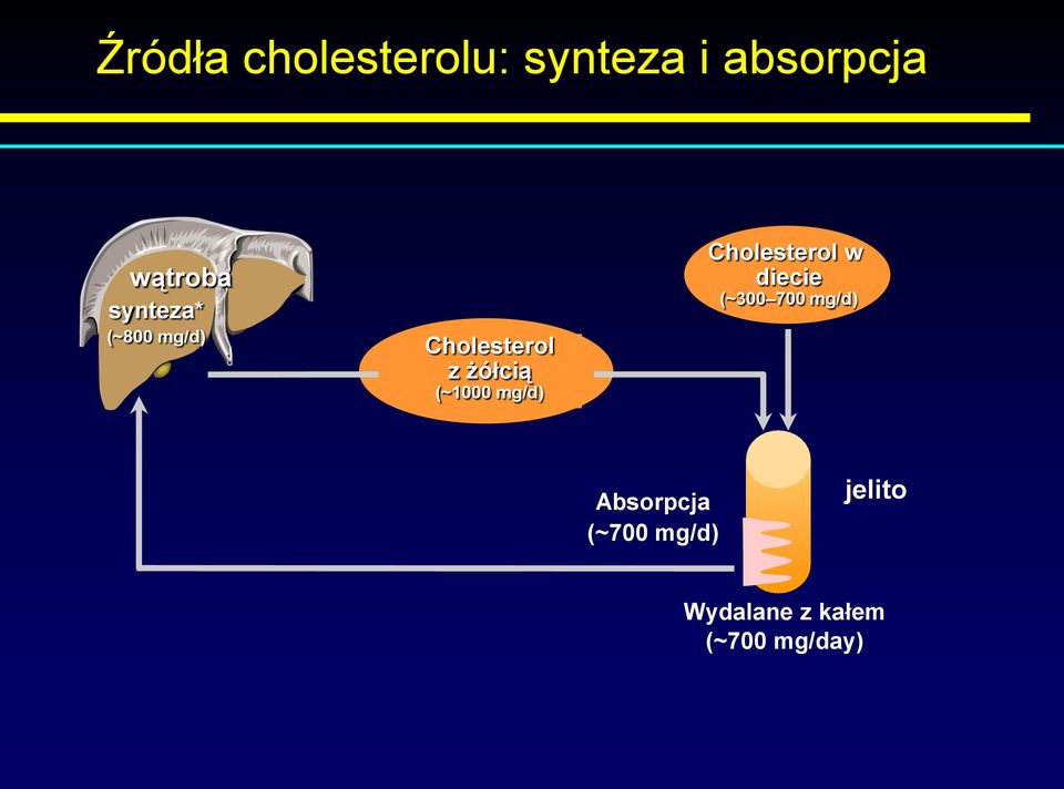 mg/d) Cholesterol w diecie (~300 700 mg/d)