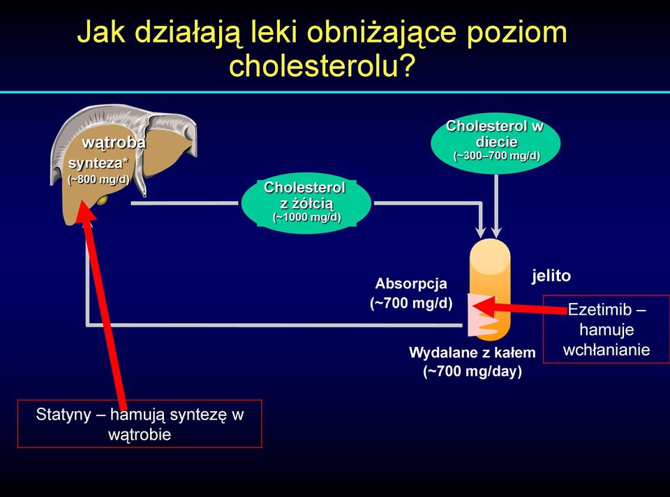 Cholesterol w diecie (~300 700 mg/d) Absorpcja (~700 mg/d) Wydalane