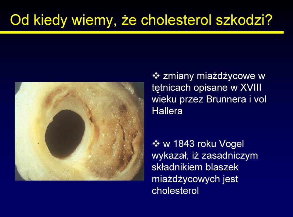 przez Brunnera i vol Hallera w 1843 roku Vogel