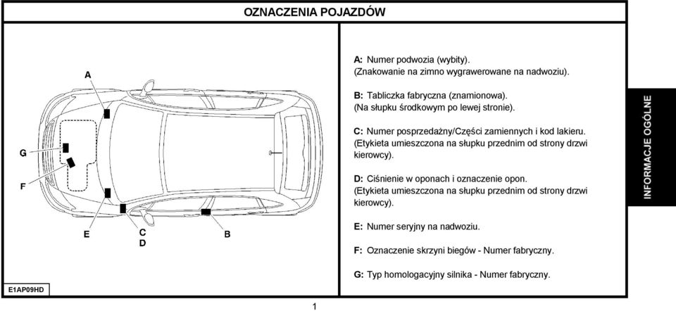 Prezentacja. Instrukcja Jest Podzielona Na Dziewięć Rozdziałów Przedstawiających Podstawowe Zespoły: - Pdf Free Download