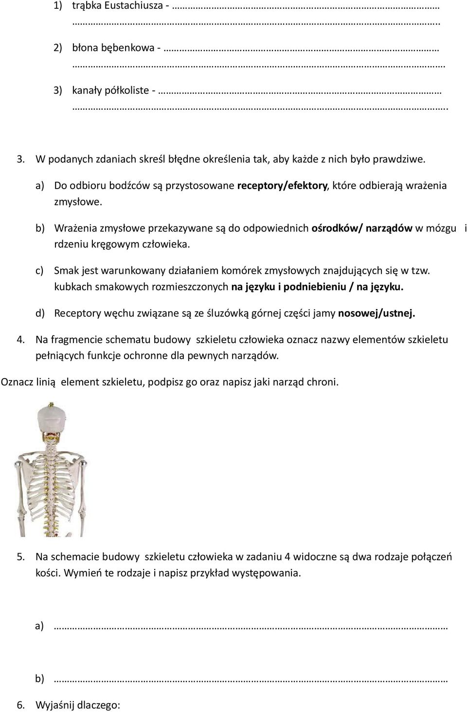 b) Wrażenia zmysłowe przekazywane są do odpowiednich ośrodków/ narządów w mózgu i rdzeniu kręgowym człowieka. c) Smak jest warunkowany działaniem komórek zmysłowych znajdujących się w tzw.