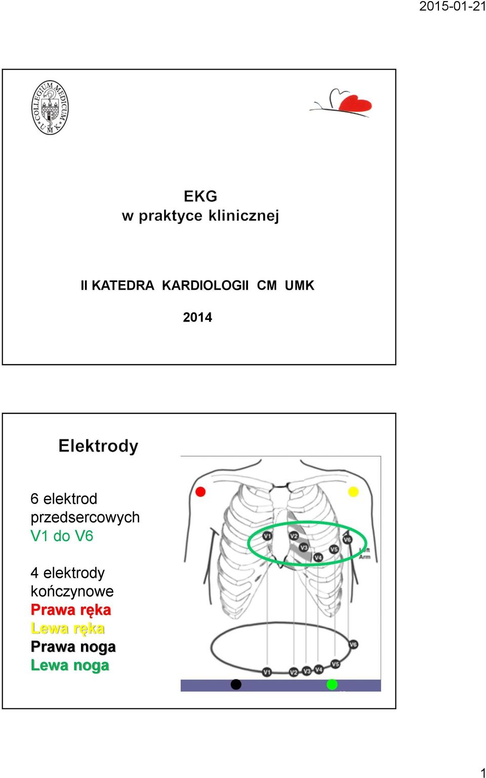 do V6 4 elektrody kończynowe