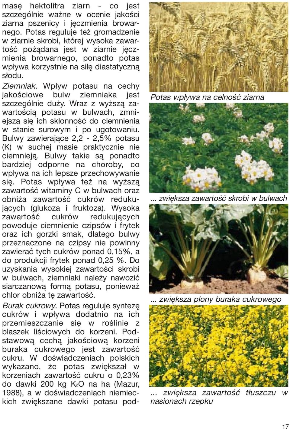 Wpływ potasu na cechy jakościowe bulw ziemniaka jest szczególnie duży. Wraz z wyższą zawartością potasu w bulwach, zmniejsza się ich skłonność do ciemnienia w stanie surowym i po ugotowaniu.