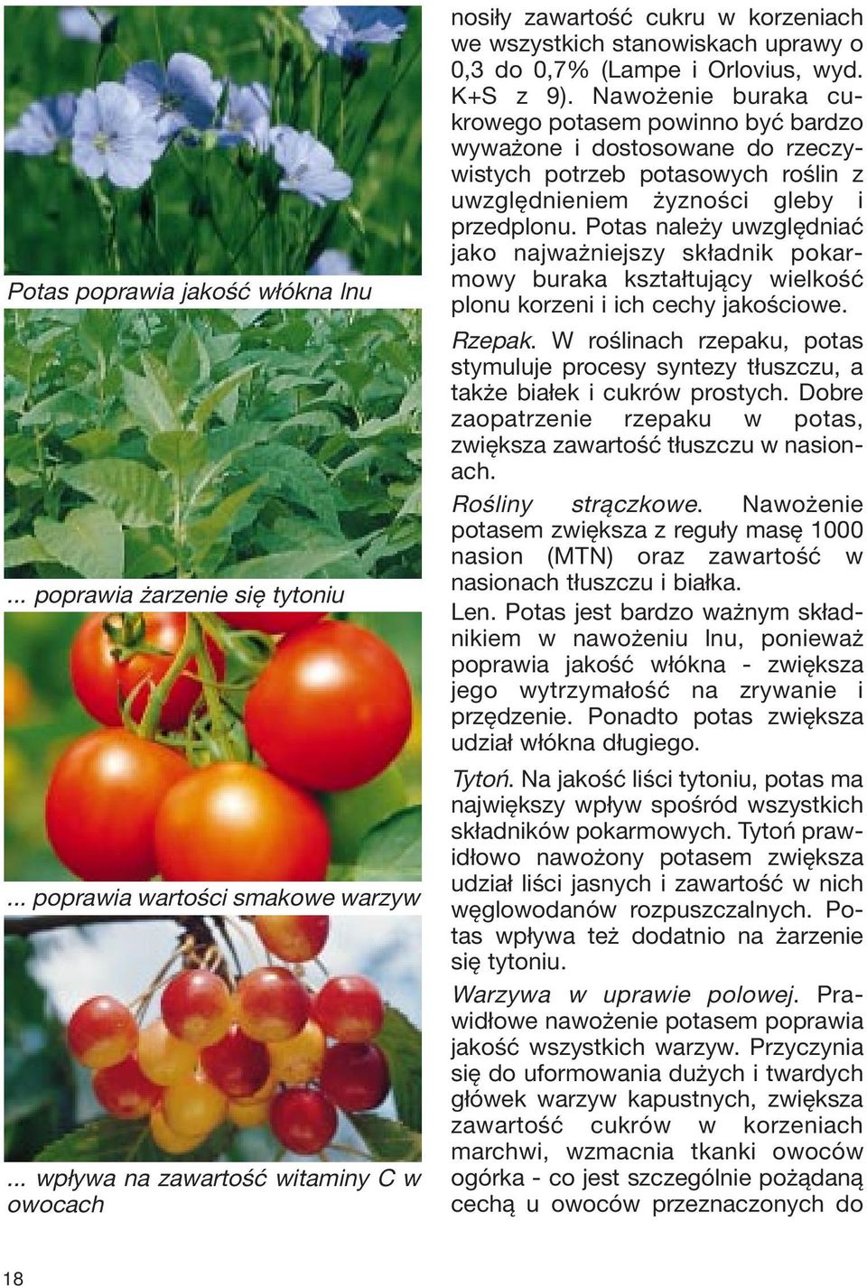Nawożenie buraka cukrowego potasem powinno być bardzo wyważone i dostosowane do rzeczywistych potrzeb potasowych roślin z uwzględnieniem żyzności gleby i przedplonu.
