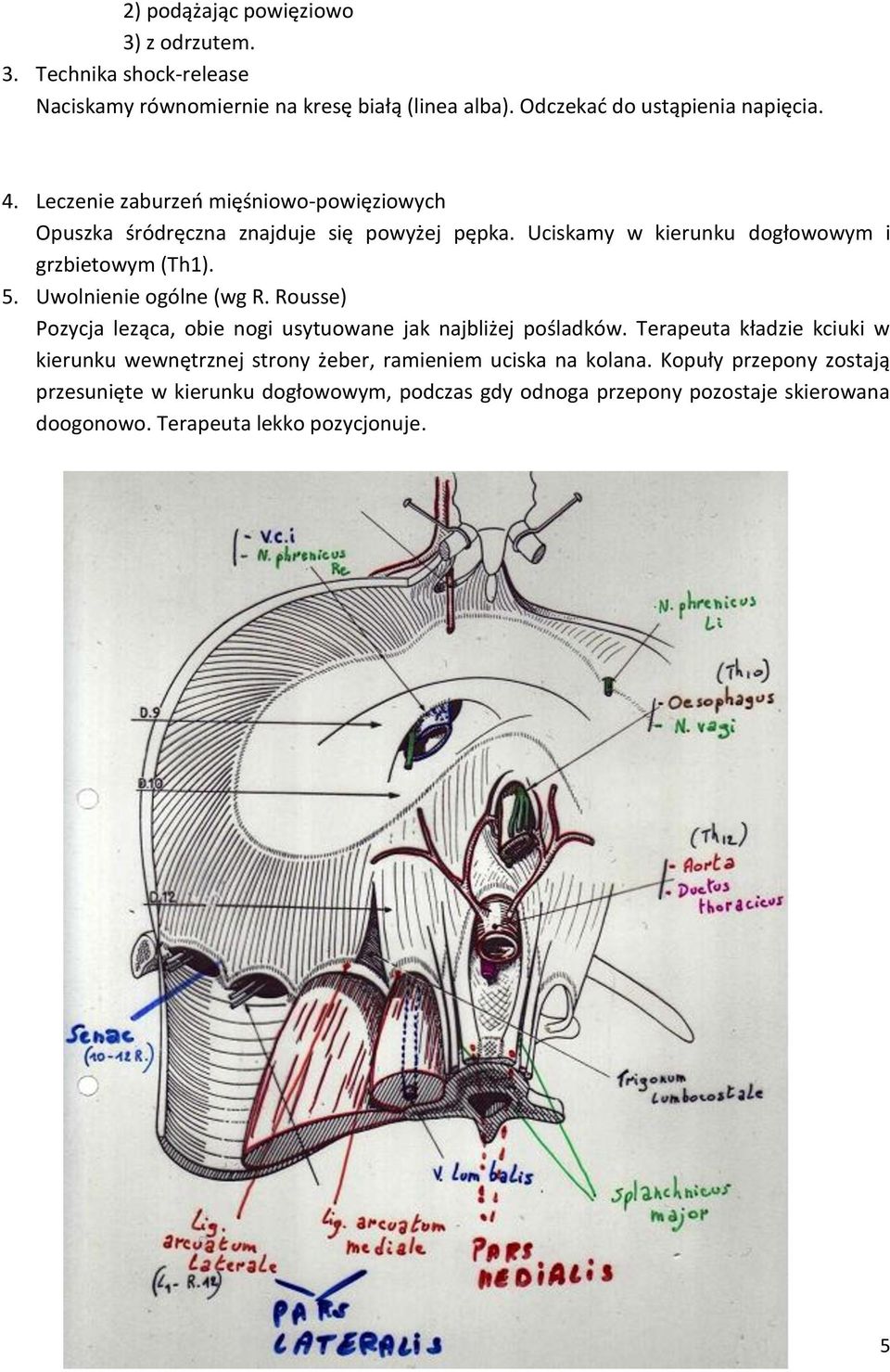 Uwolnienie ogólne (wg R. Rousse) Pozycja leząca, obie nogi usytuowane jak najbliżej pośladków.